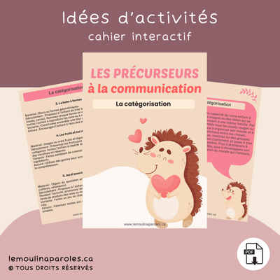 Cahier de précurseur à la communication – La catégorisation