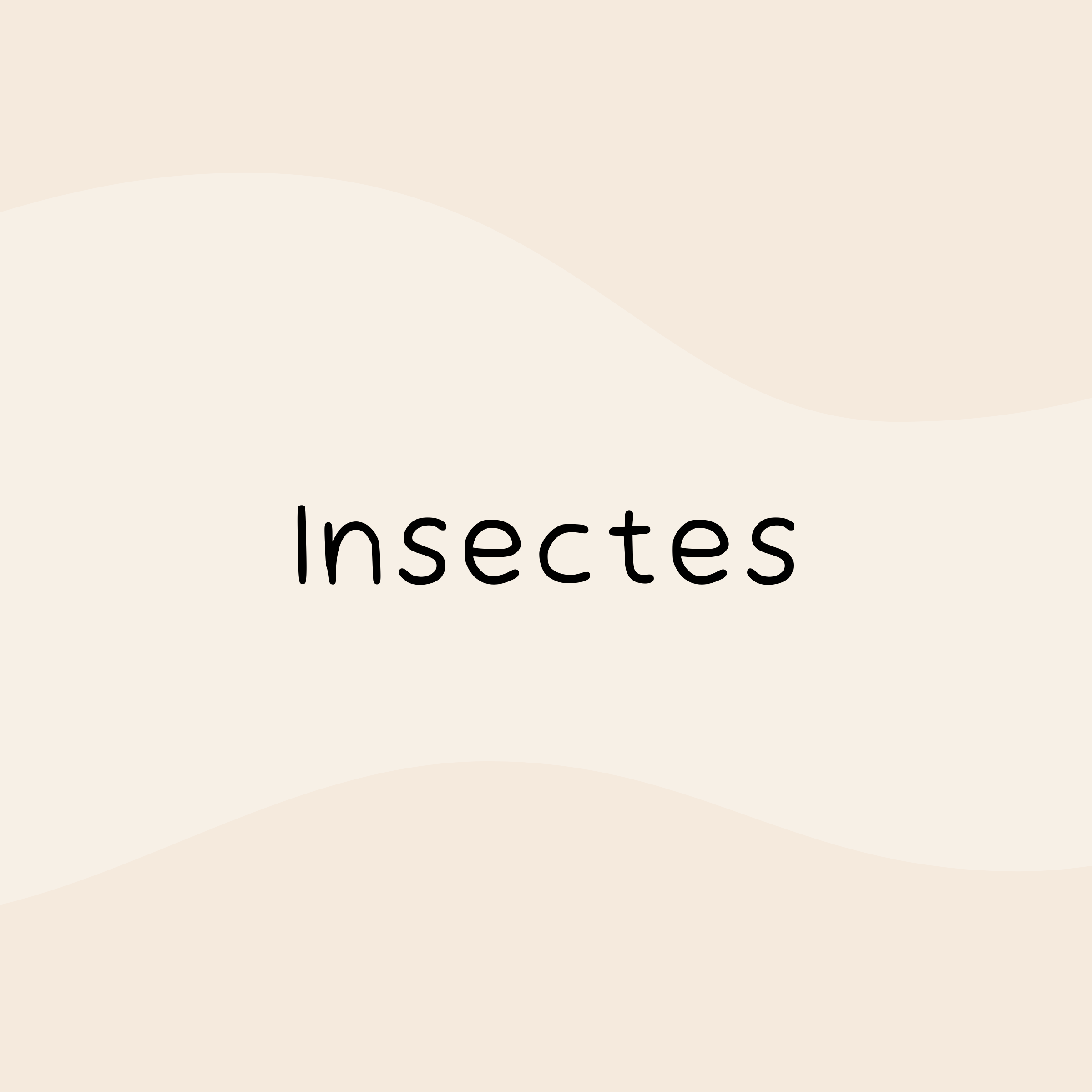 Insectes