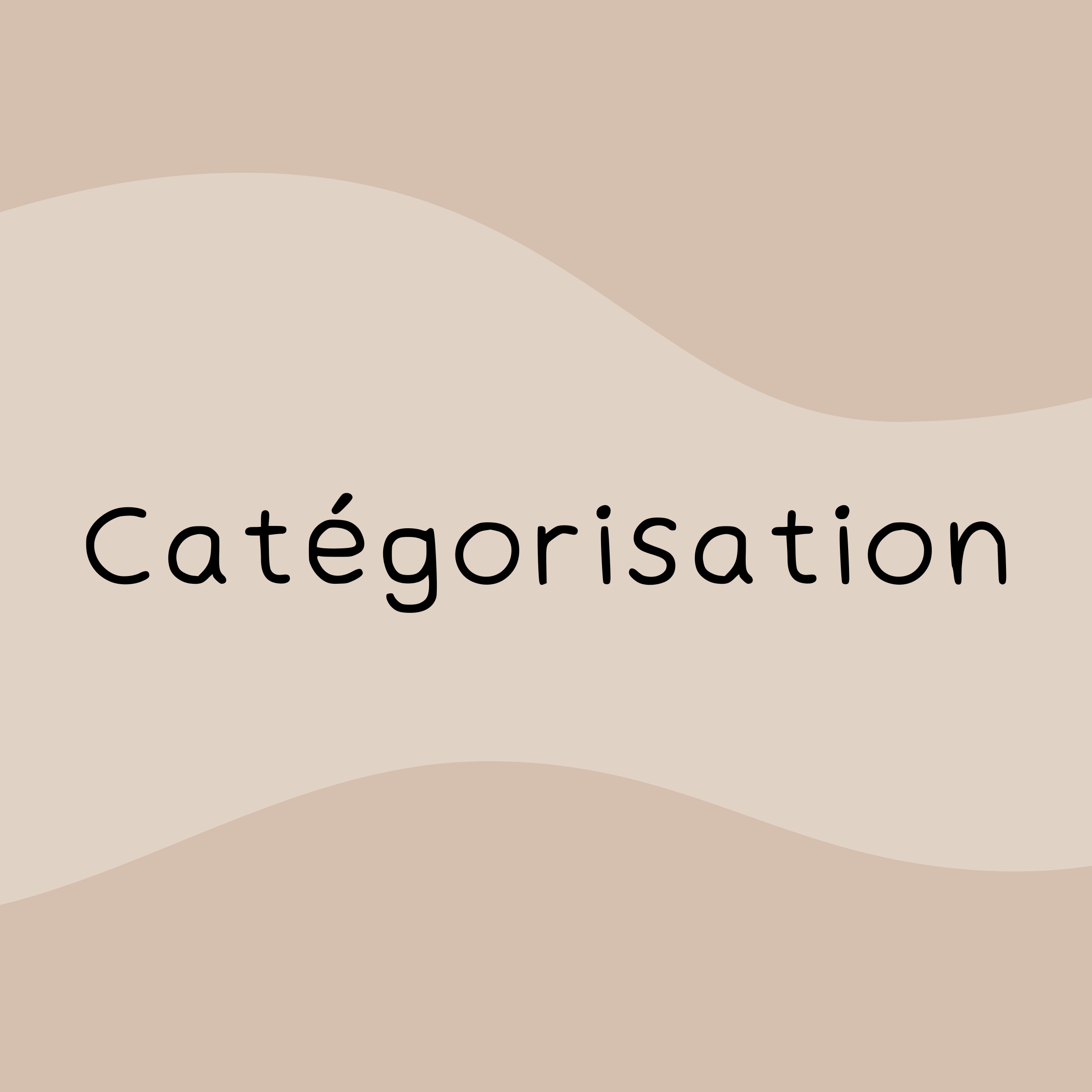 Catégorisation