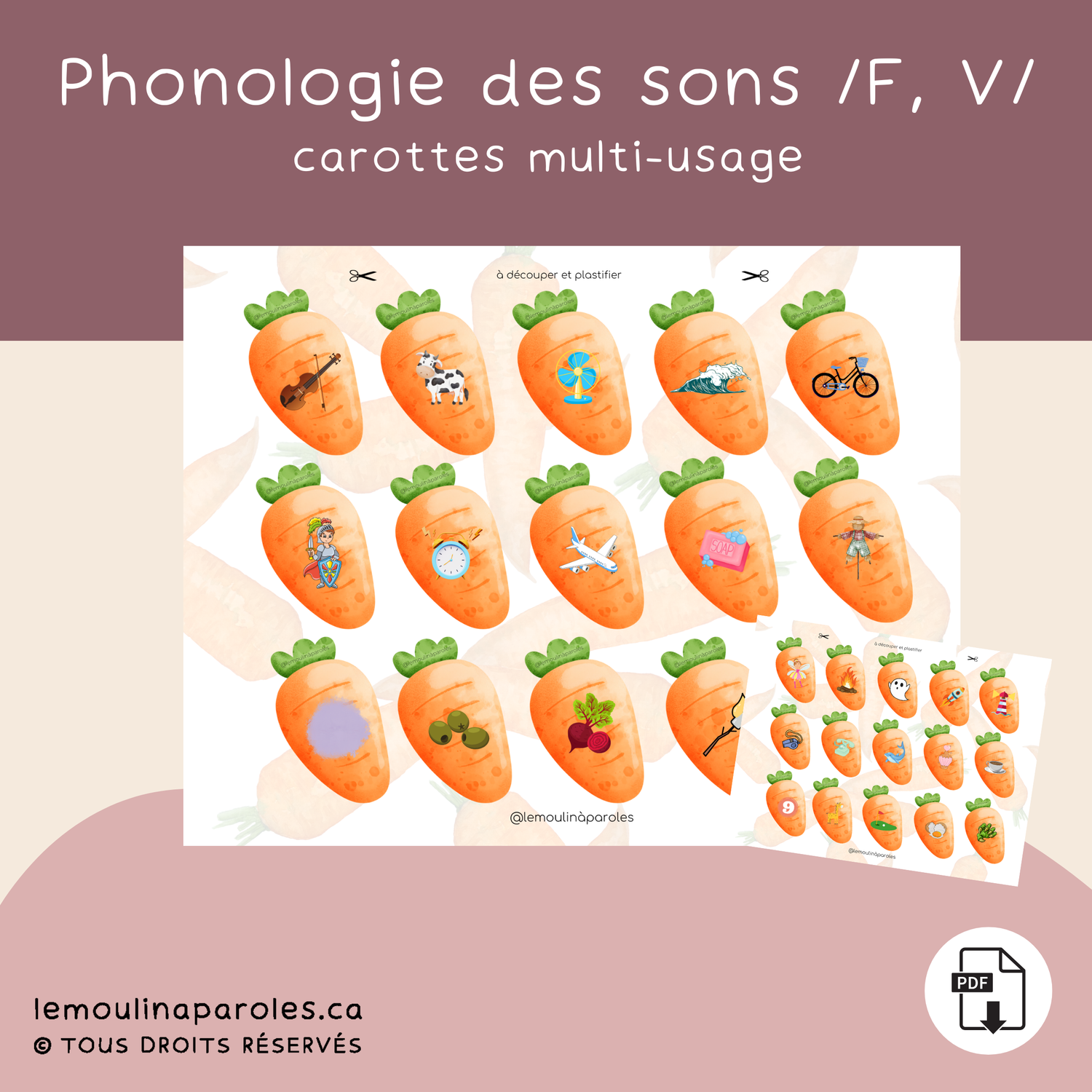 Les carrottes du lapin - son /F/ & /V/