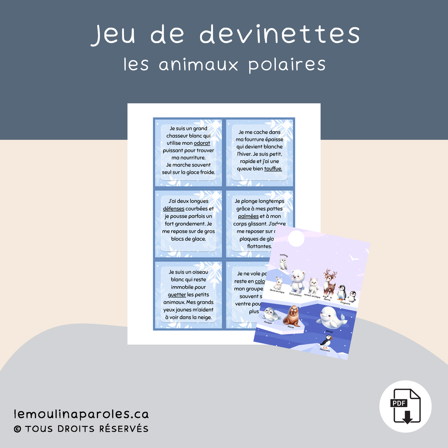 Devine l'animal polaire - Stratégies mots inconnus - 1er cycle