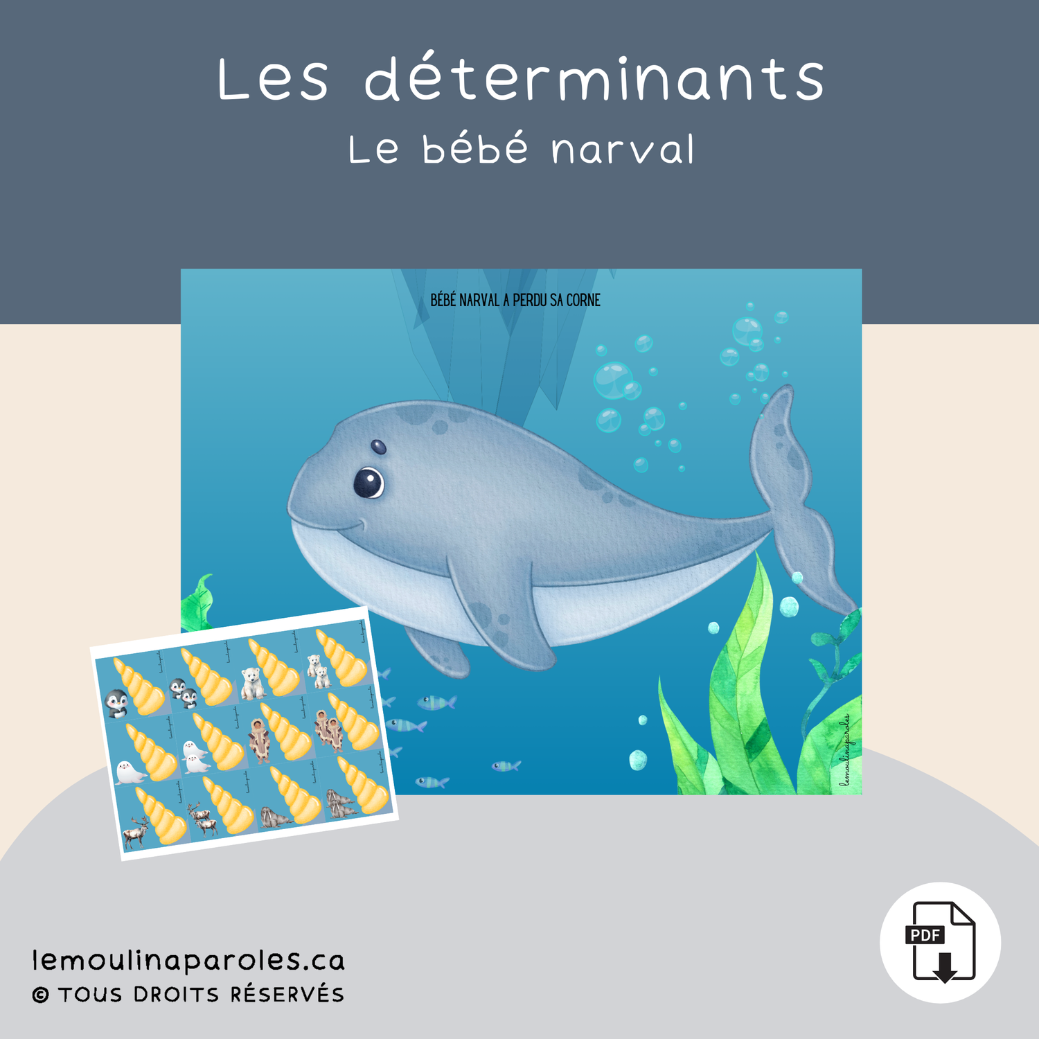 Bébé narval a perdu sa corne