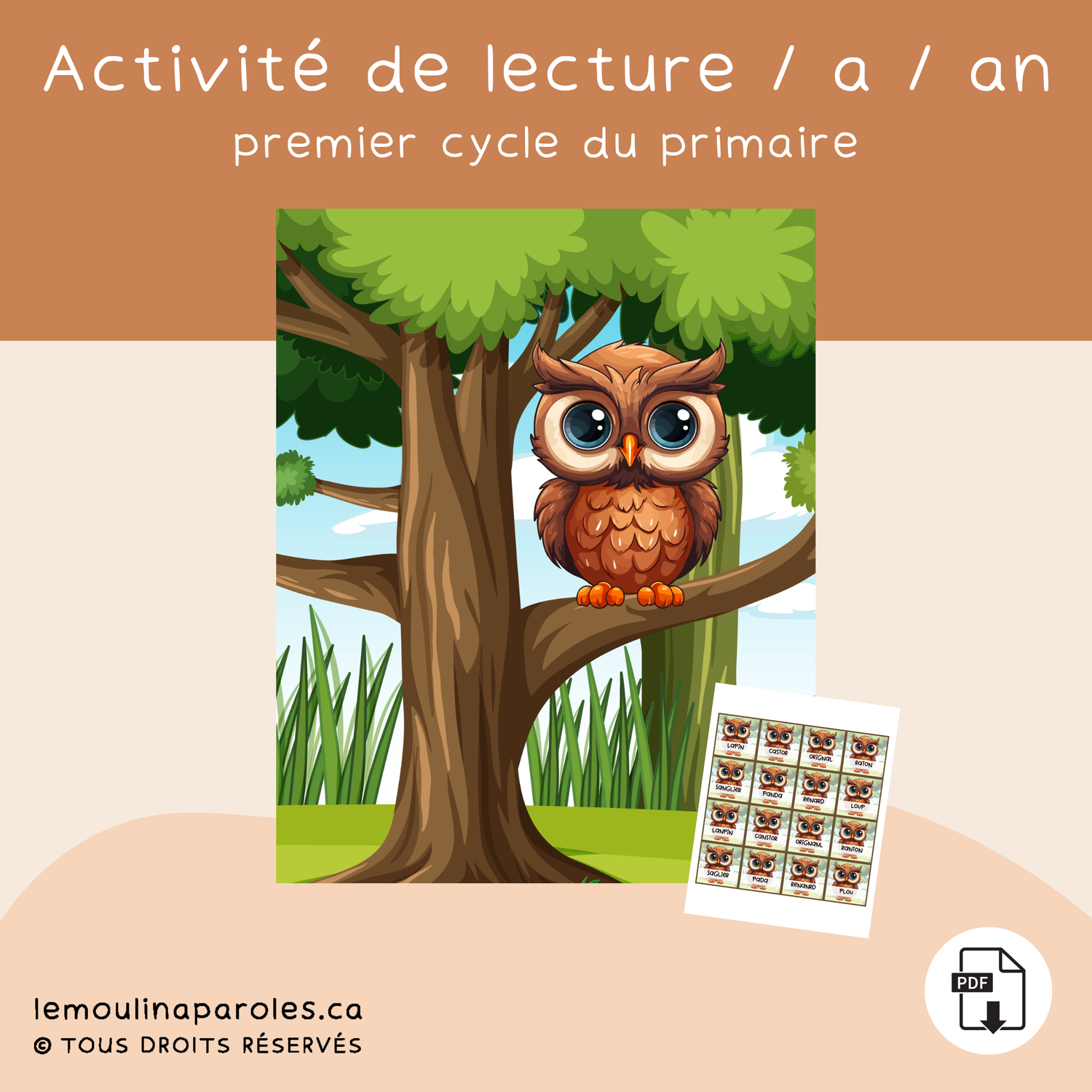 Le hibou farceur - Graphème A/AN