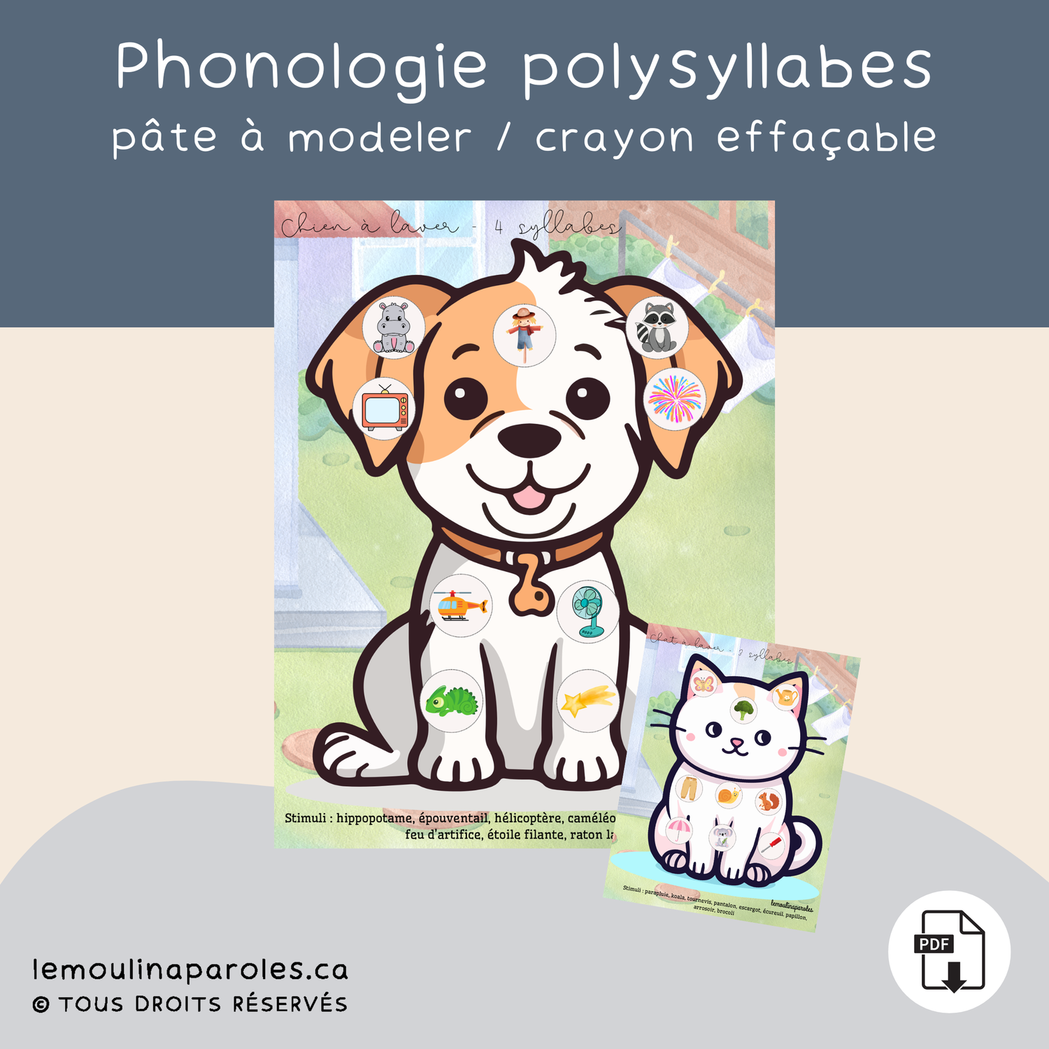 Les polysyllabes - les animaux de compagnie