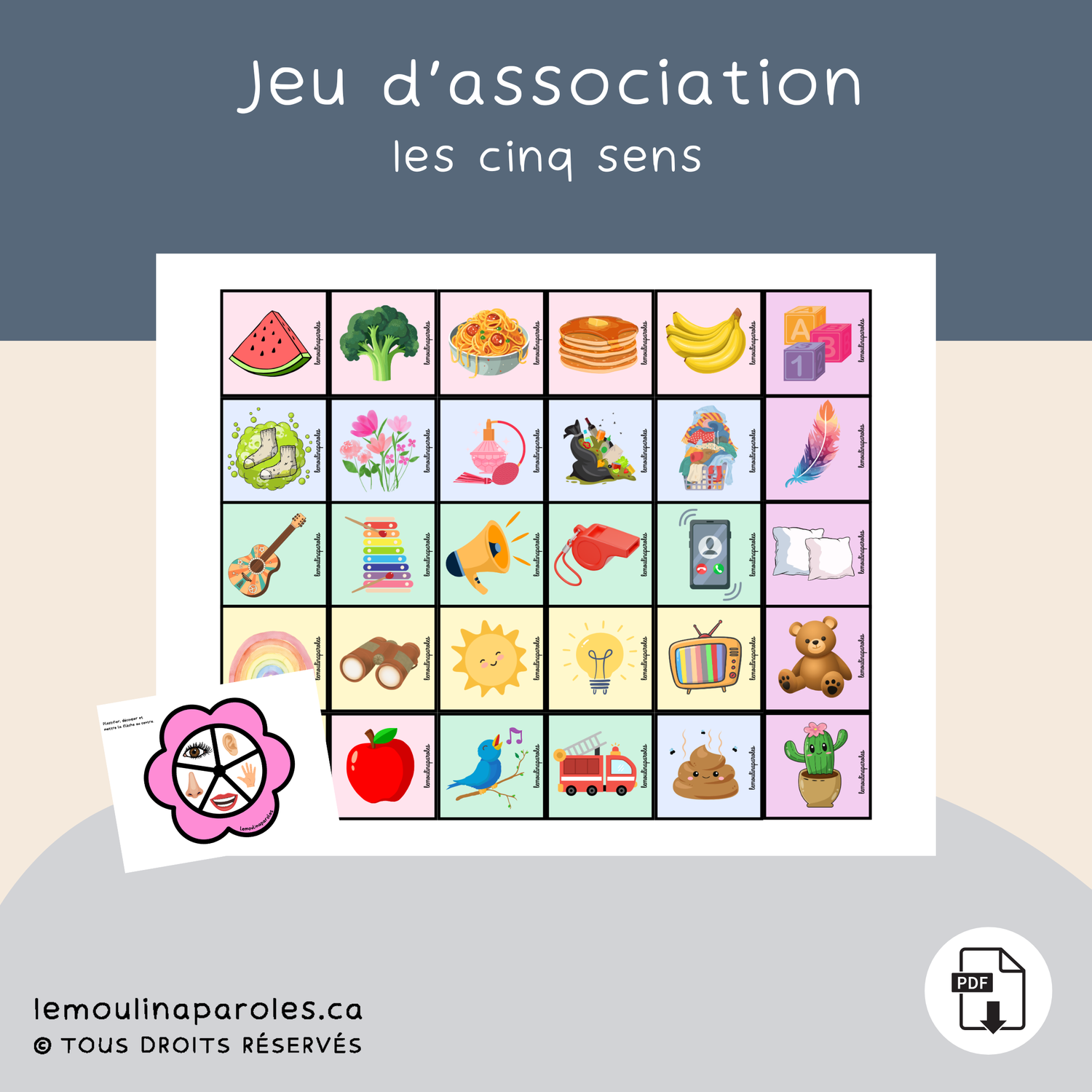 Montre-moi les 5 sens