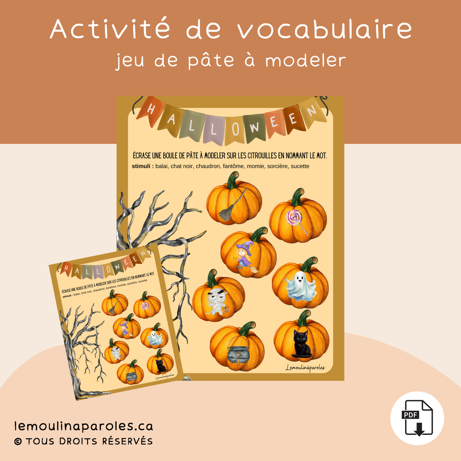 Le champ de citrouilles