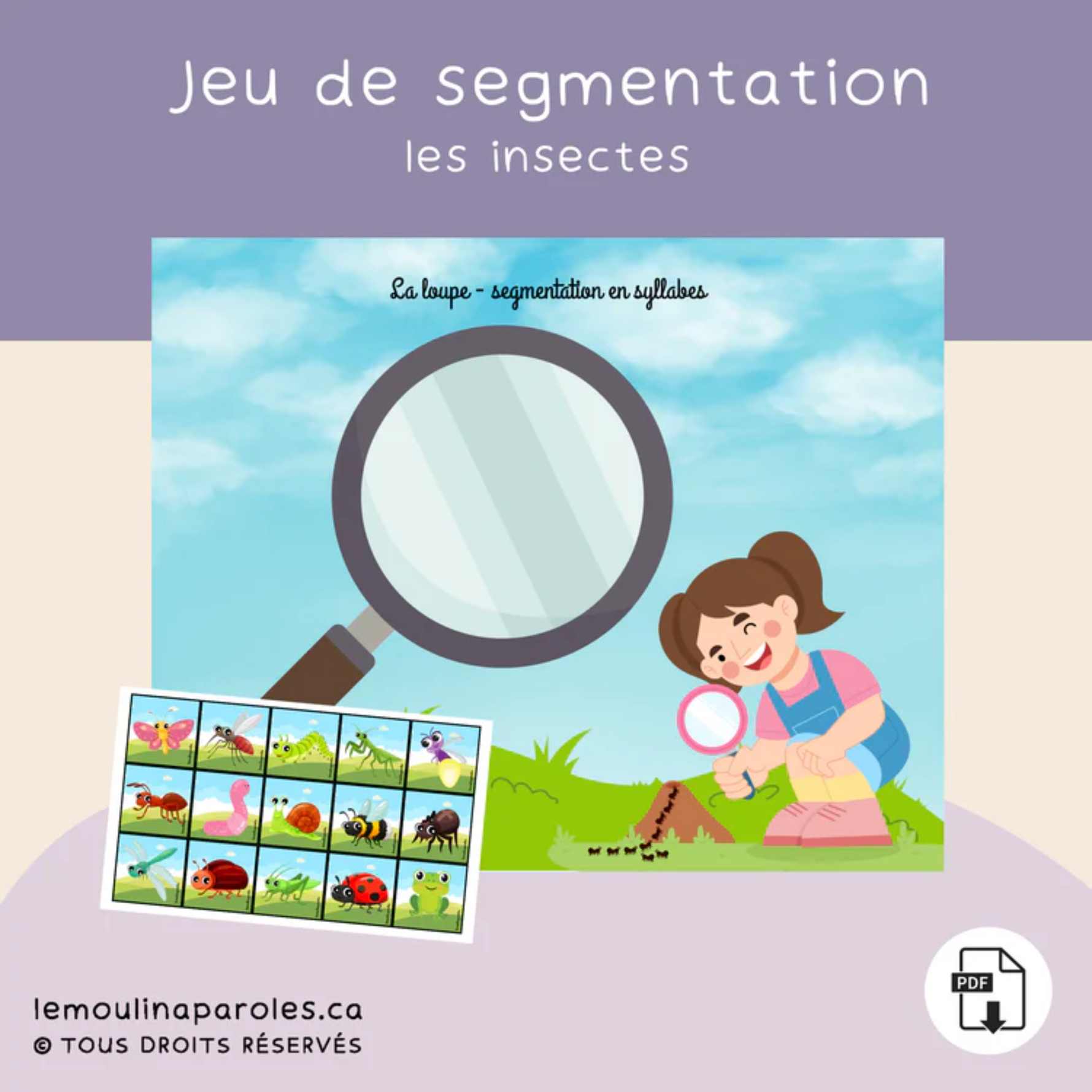Activité langage enfants 3 à 5 ans insectes dénombrement