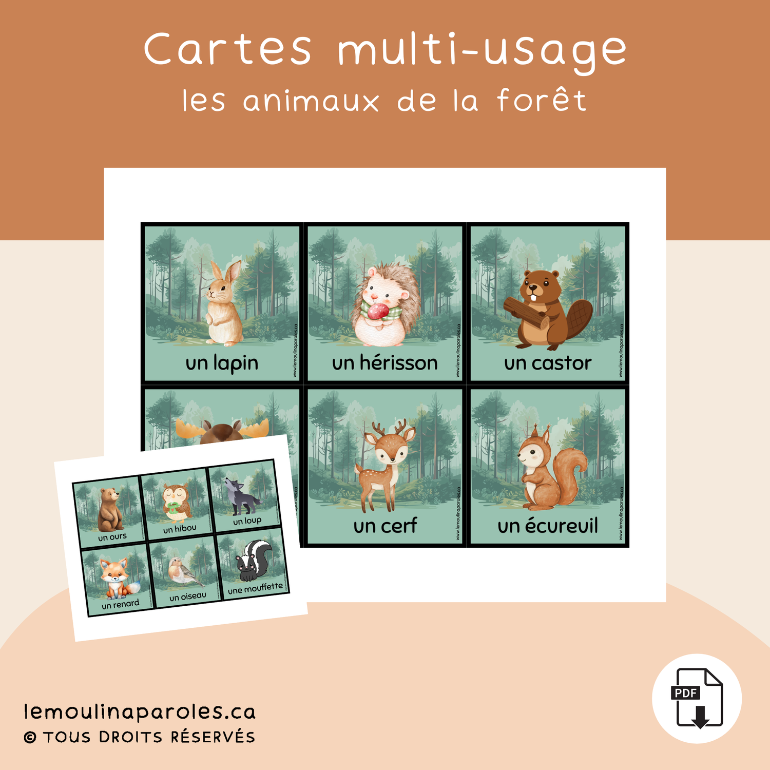Cartes vocabulaire - animaux de la forêt