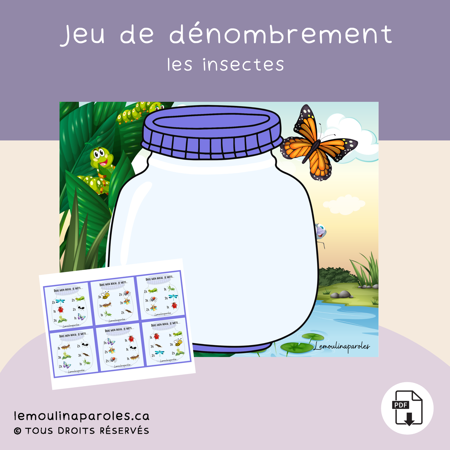 Mon bocal d'insectes