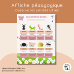 Jeu orthophonie insectes sons syllabes et vocabulaire