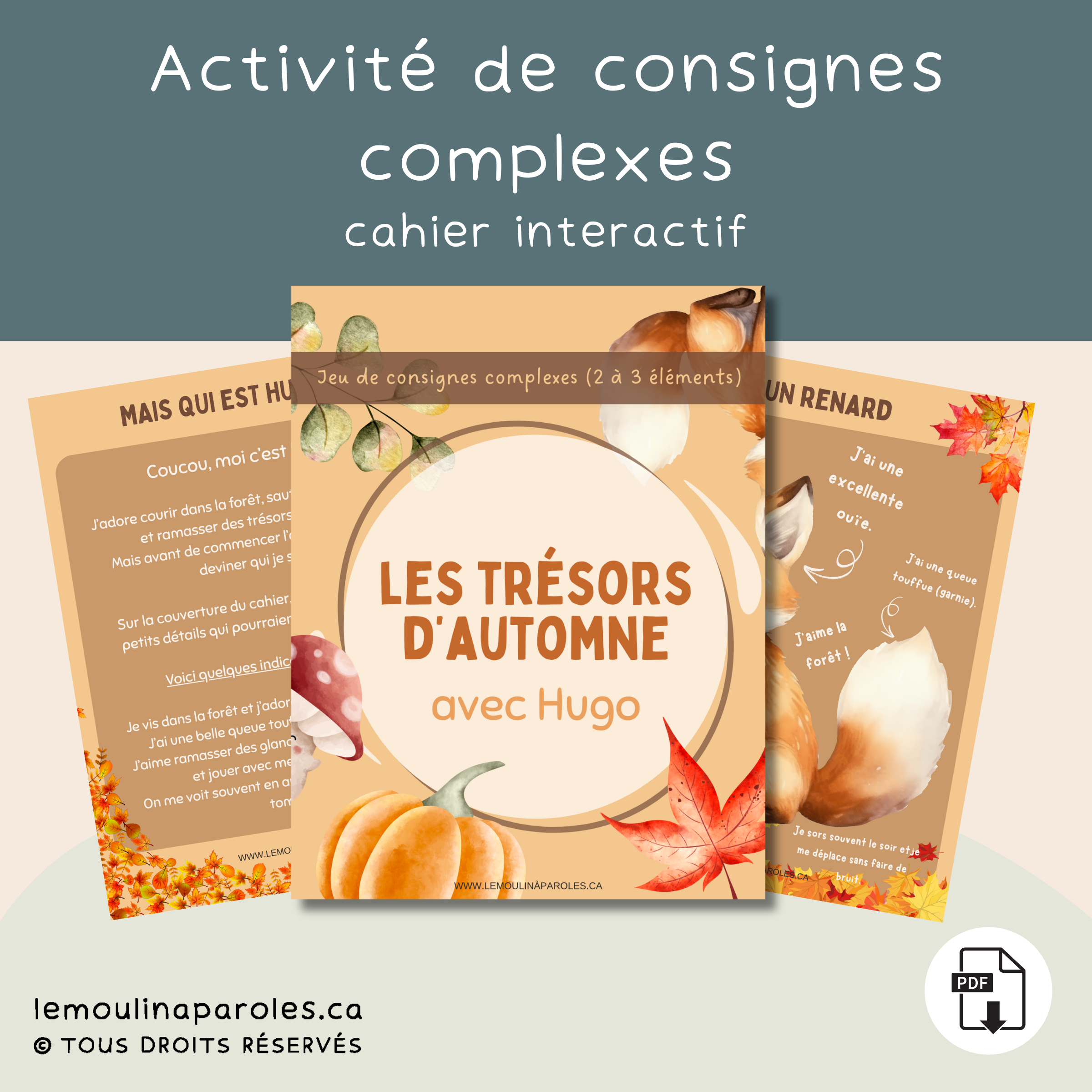 Boîte de Hugo : jeu de consignes complexes
