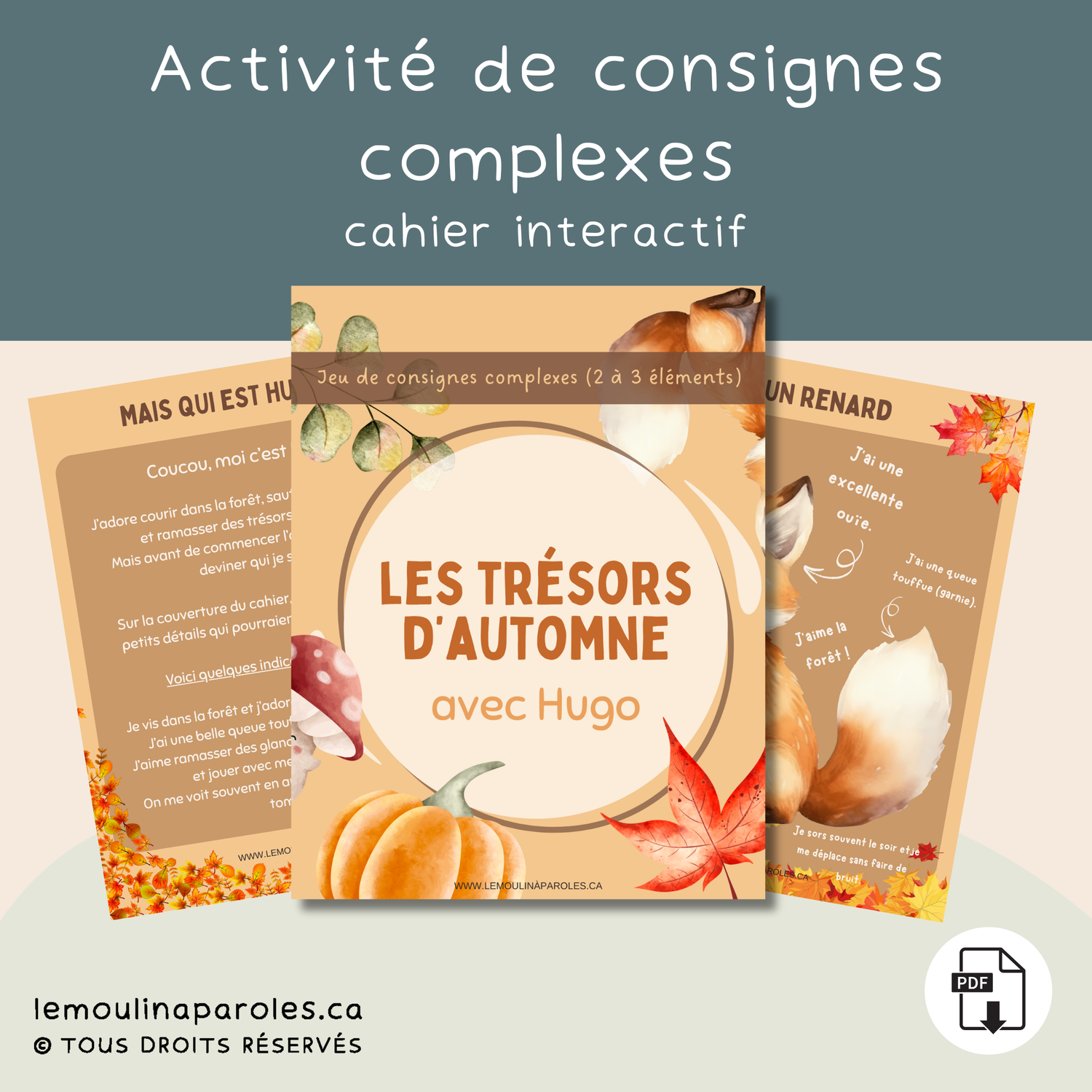 Hugo – Jeu de consignes complexes