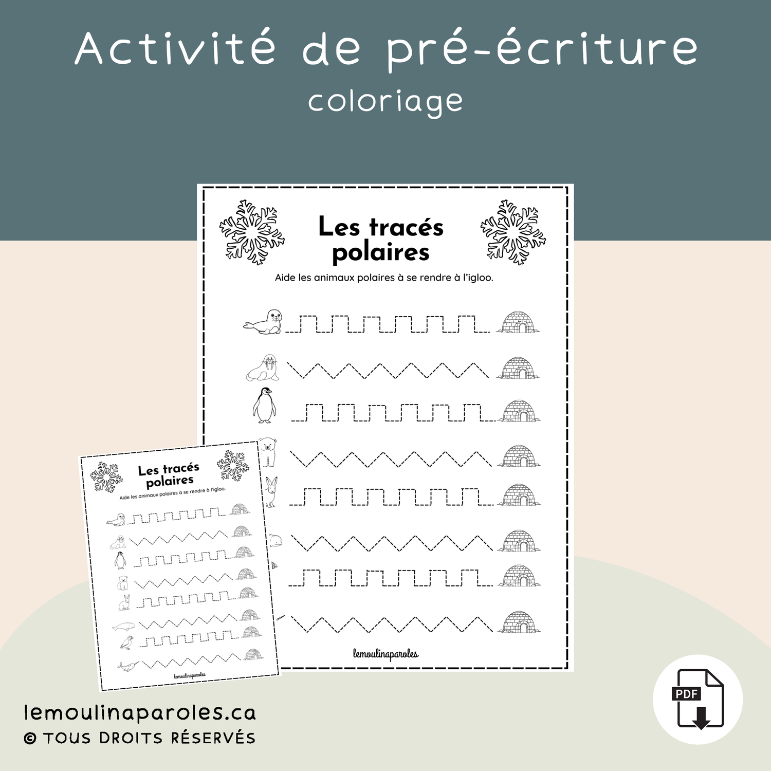 Les tracés polaires