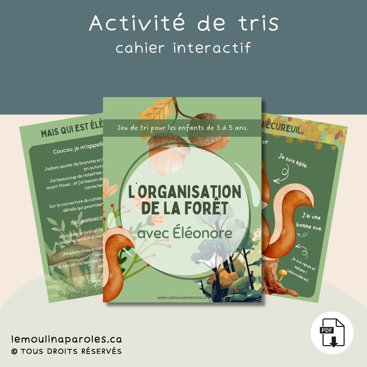 Éléonore – Jeu de tri et organisation de la forêt