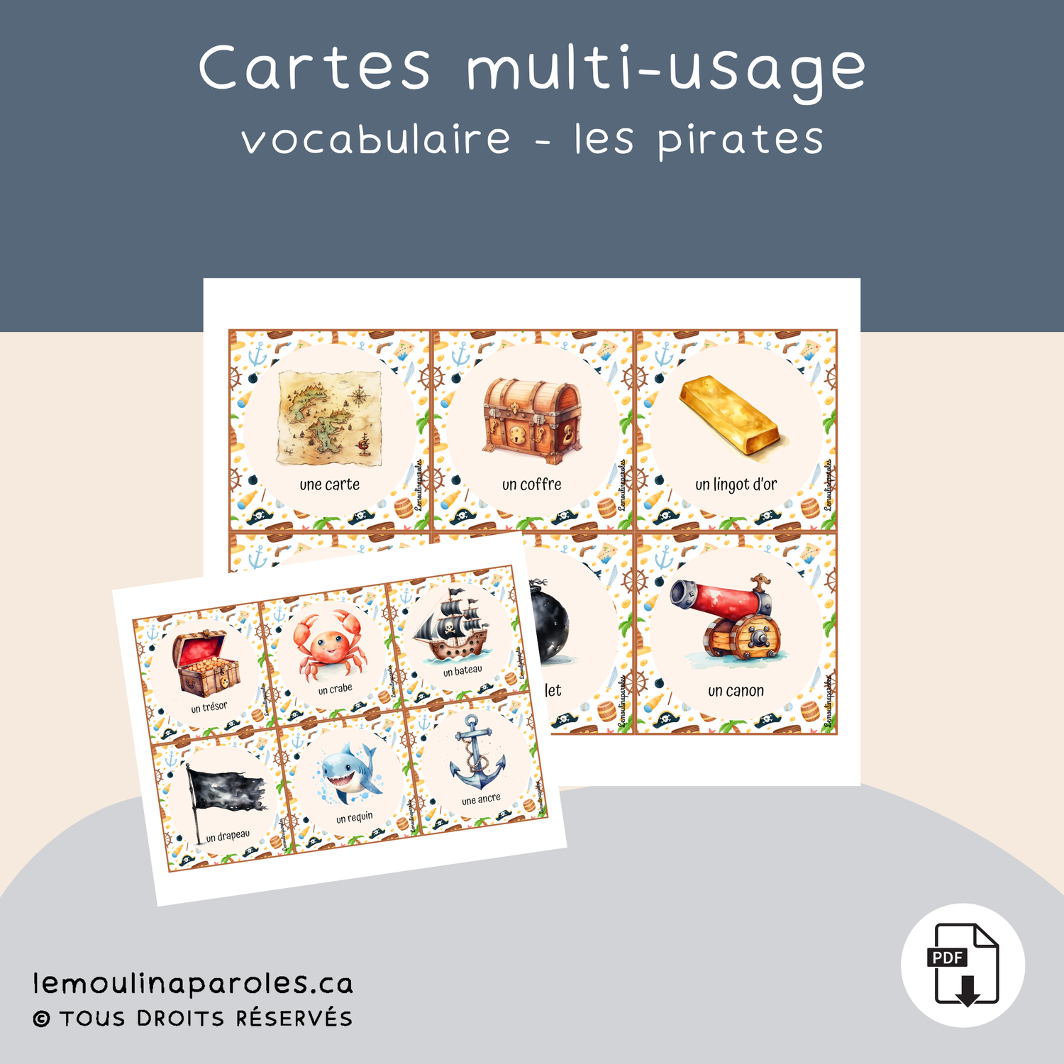 Cartes vocabulaire - les pirates