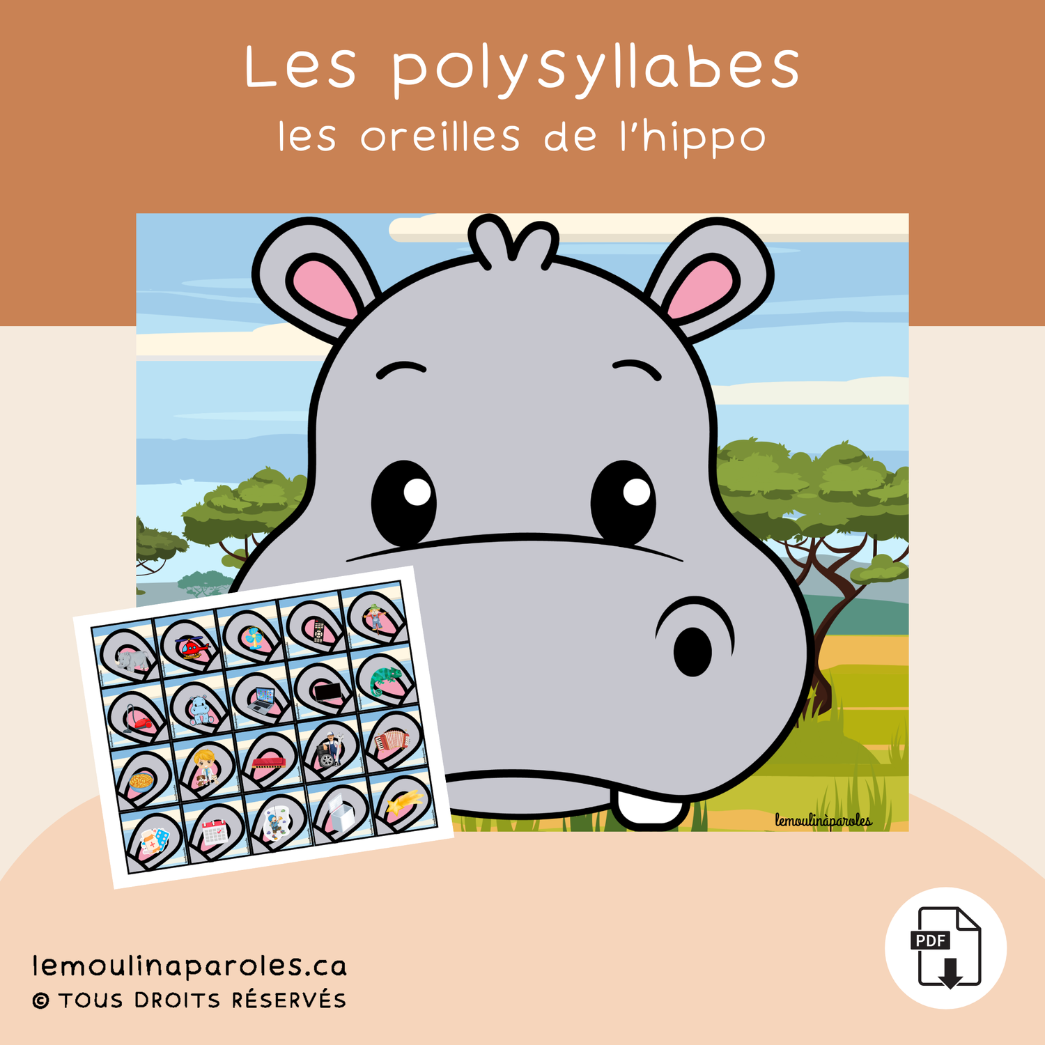 Les oreilles d'hippopo