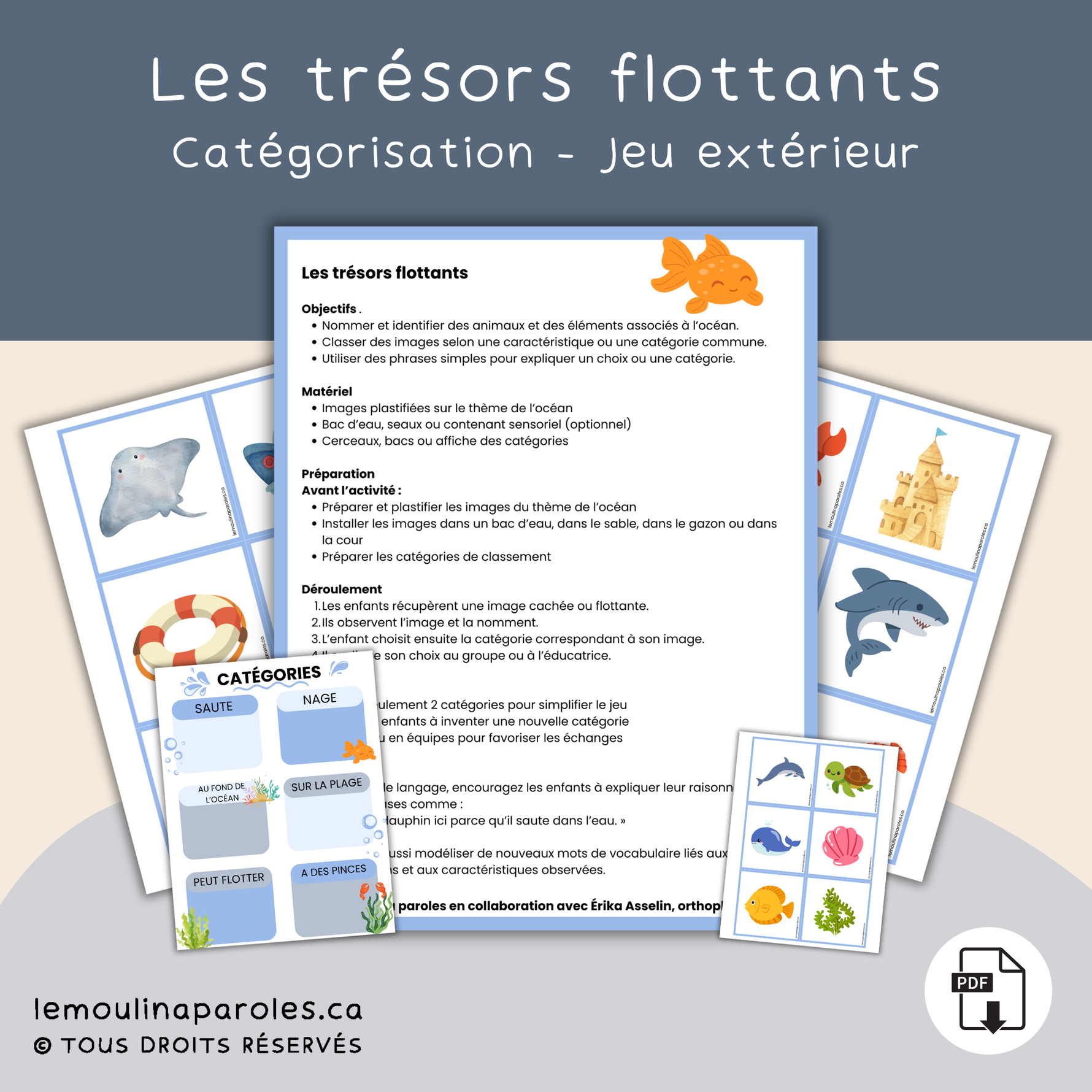 Images d’animaux et objets marins classés dans différentes catégories océaniques.