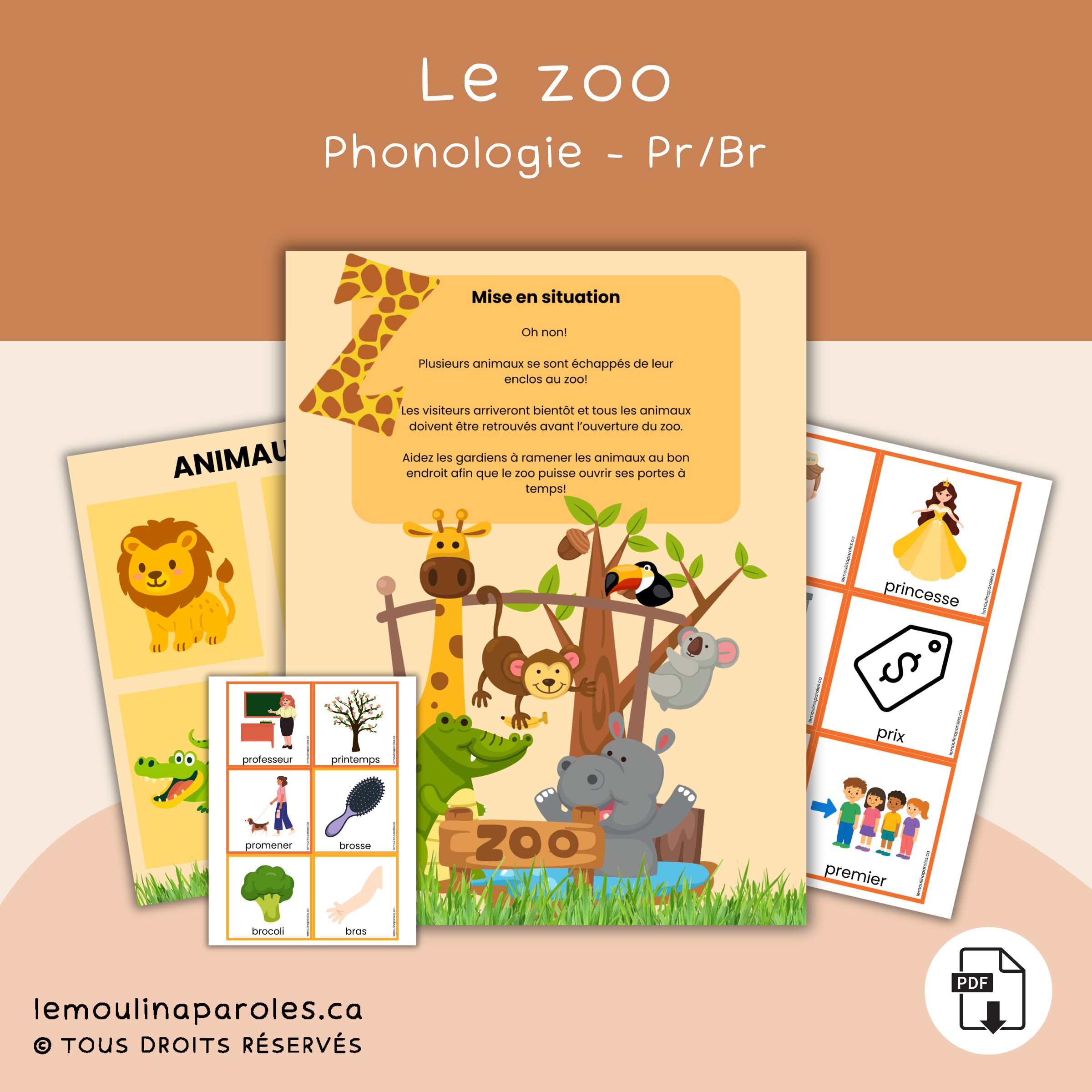 Animaux du zoo à replacer dans leur enclos dans un jeu de prononciation conçu pour travailler les groupes consonantiques BR et PR.