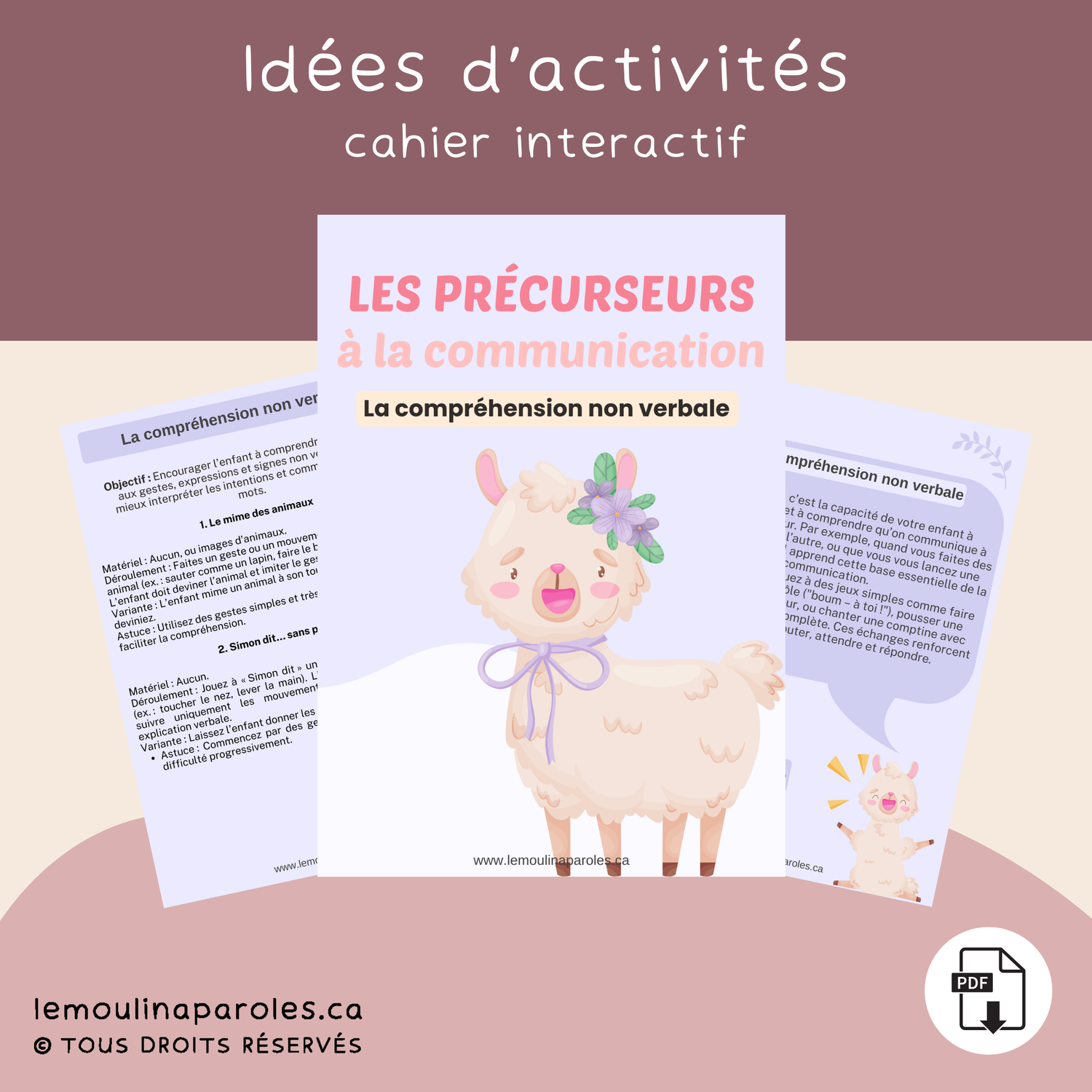 Cahier de précurseur à la communication – La compréhension non verbale
