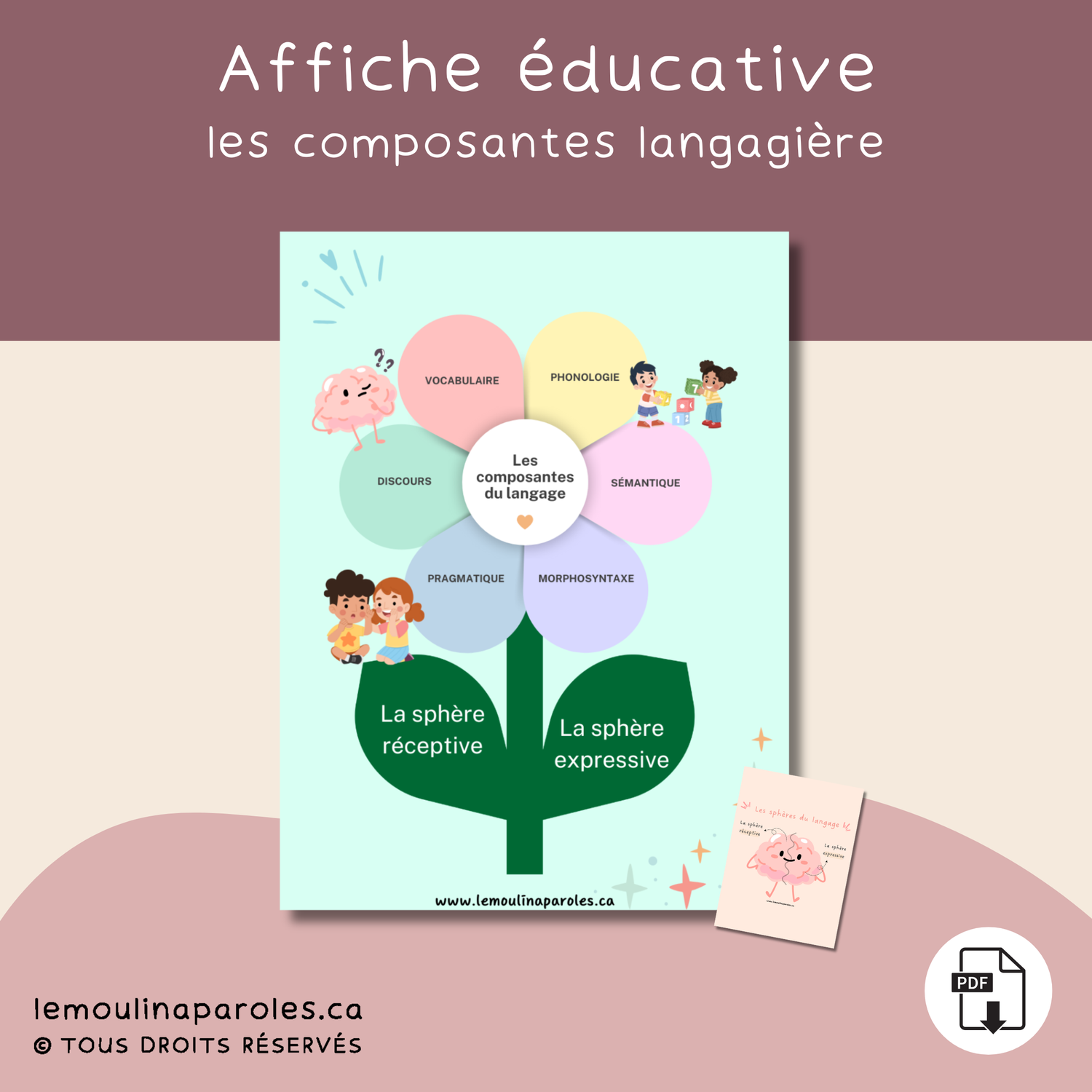 Affiche La fleur des composantes – Langage oral en un clin d’œil