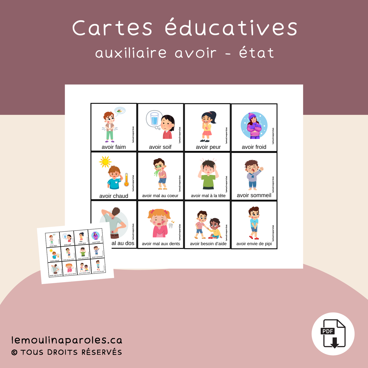Cartes images du verbe avoir (état)