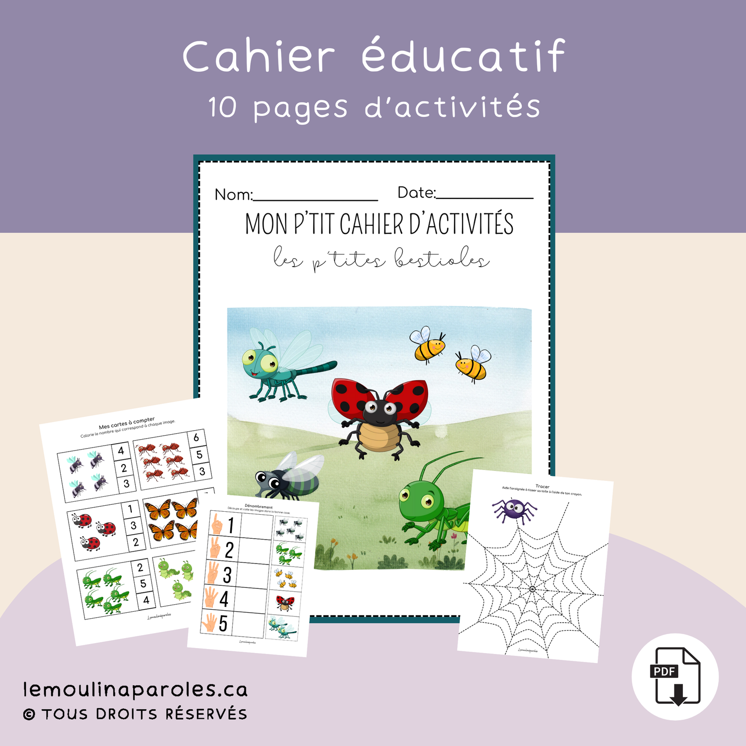 Cahier d'activités - les p'tites bestioles