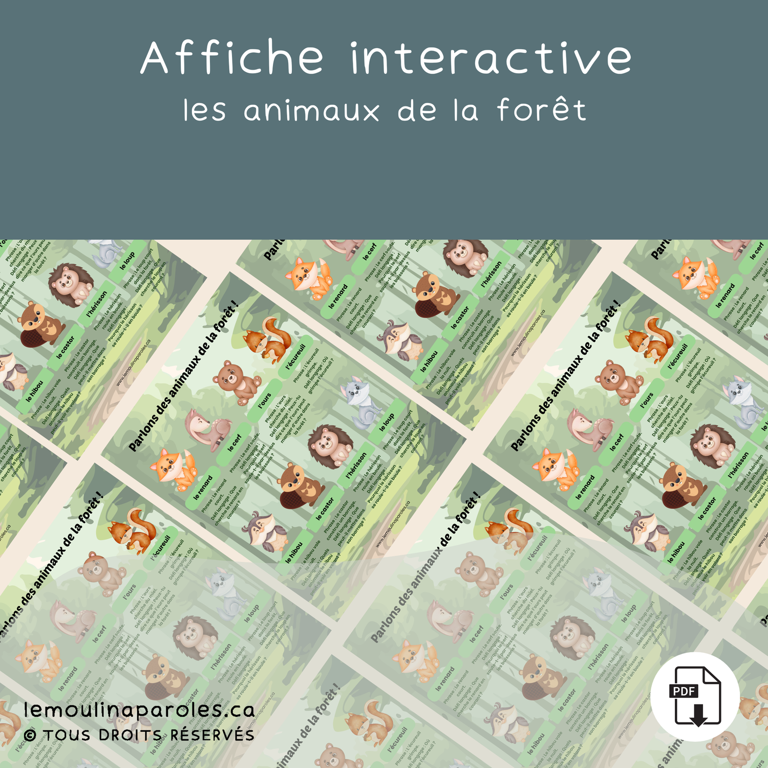 Affiche éducative - les animaux de la forêt