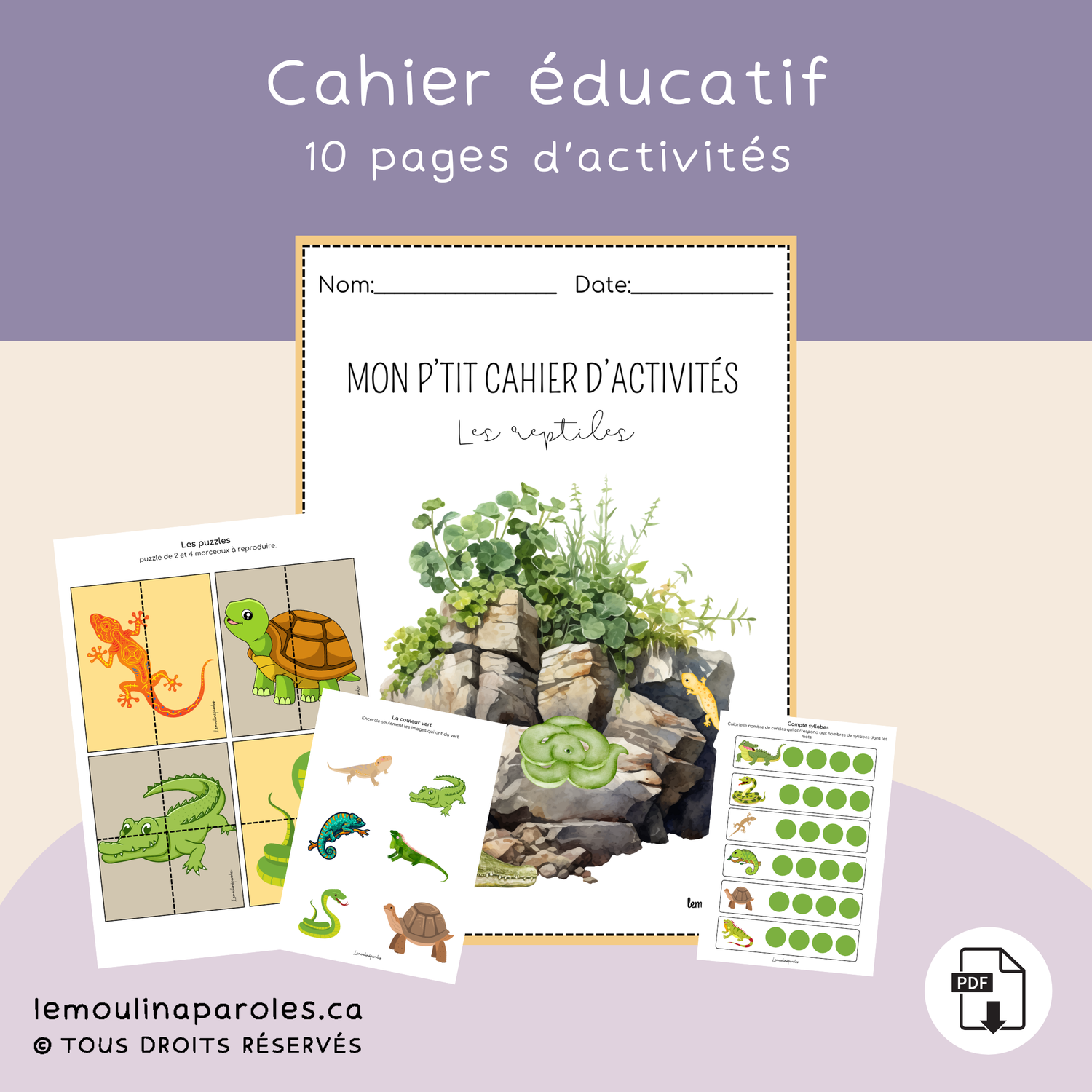 Cahier d'activités - les reptiles