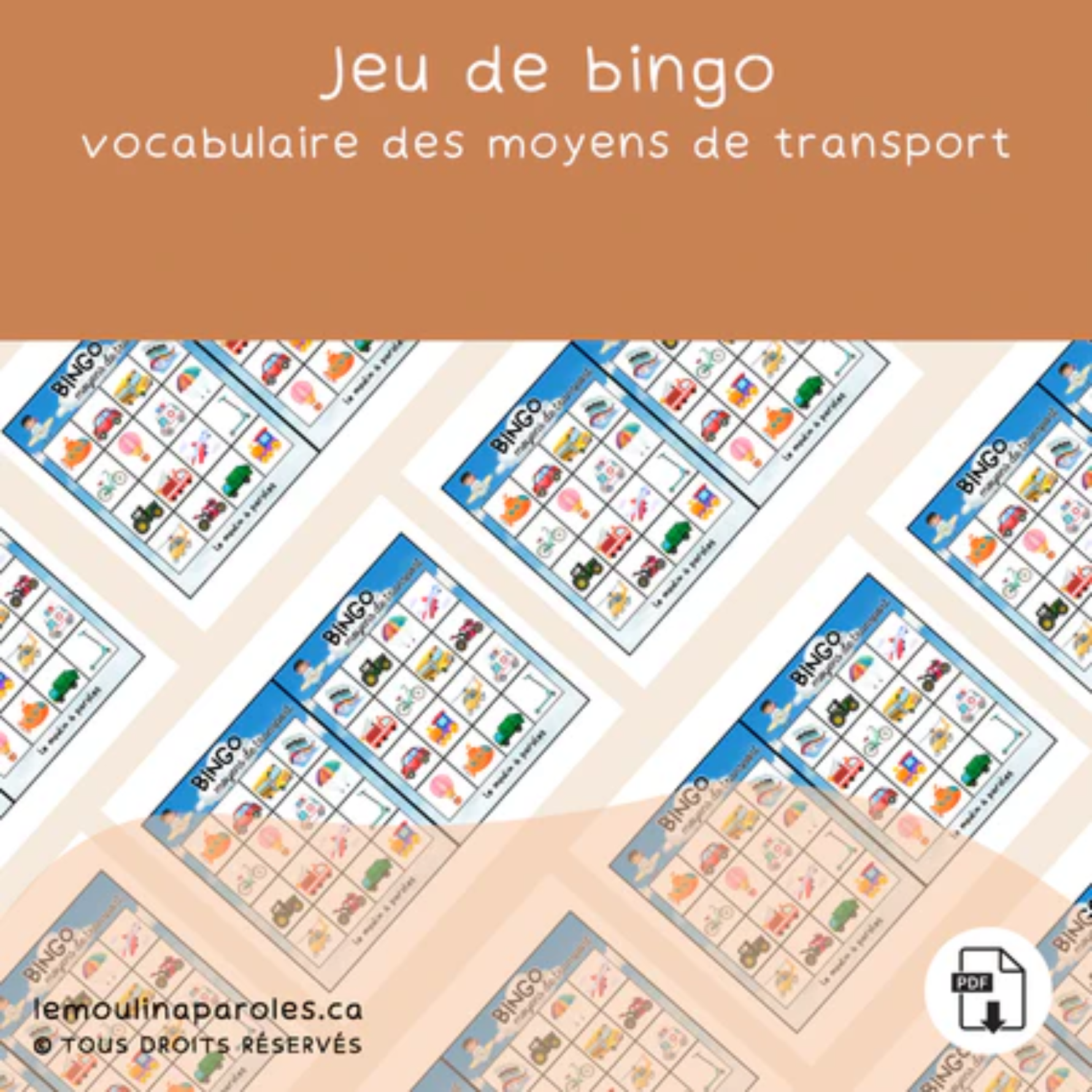 Jeu de catégorisation moyens de transport air terre mer activité langage enfant