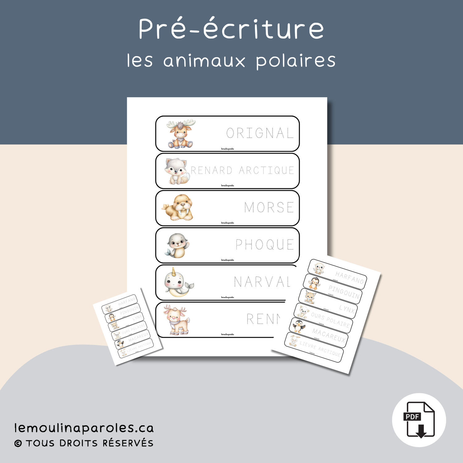 MOTS À TRACER - LES ANIMAUX POLAIRES