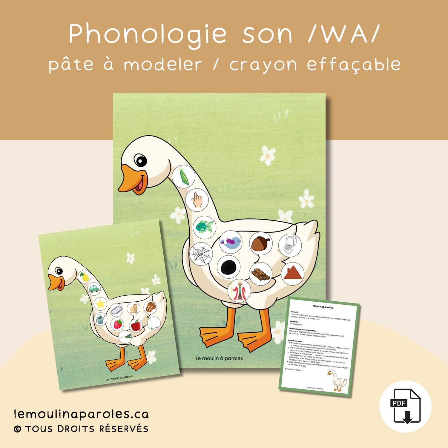 Plateau Éloi l’oie avec bulles à effacer pour pratiquer le son OI en orthophonie.