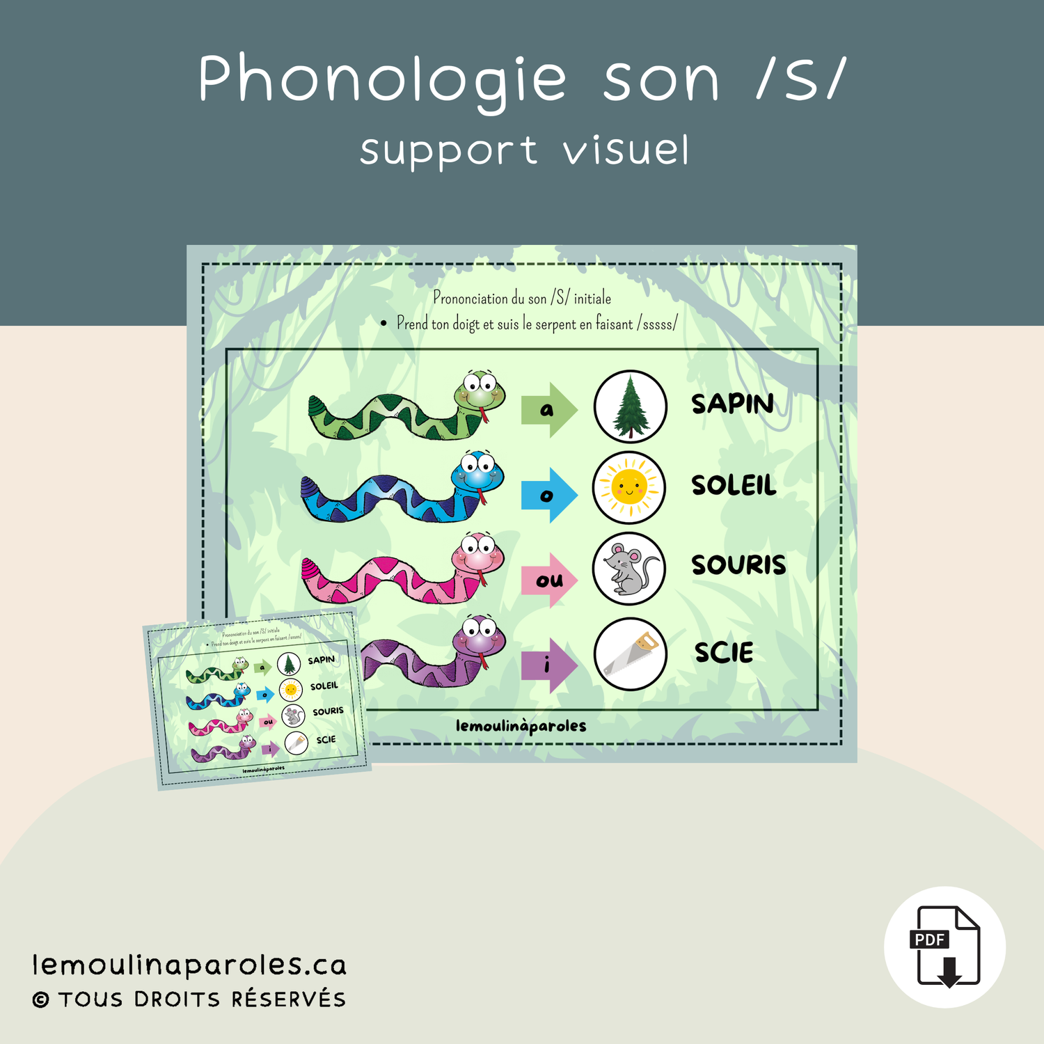 Support visuel phonème /S/