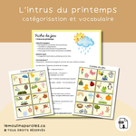 Jeu orthophonie printemps catégorisation intrus vocabulaire