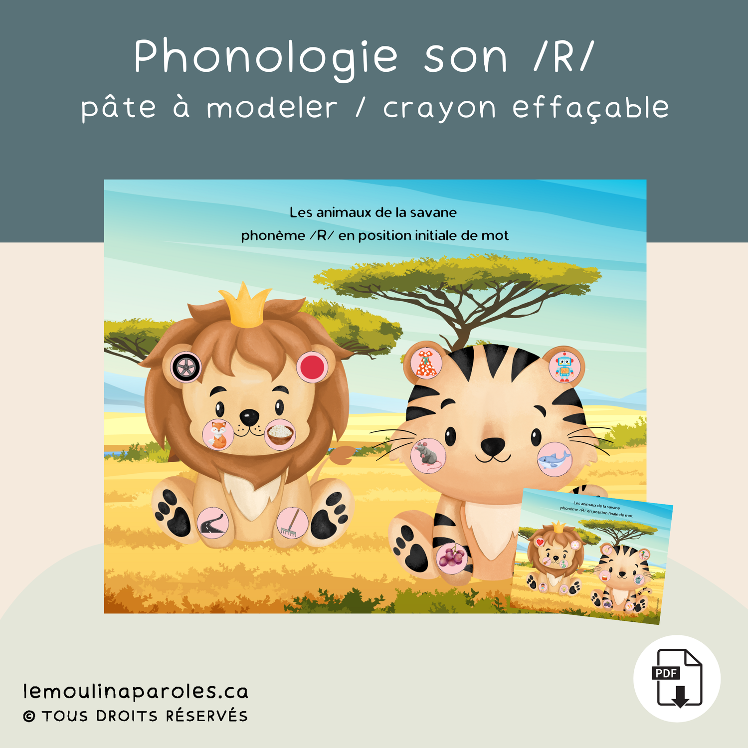 Les animaux de la savane - phonème /R/