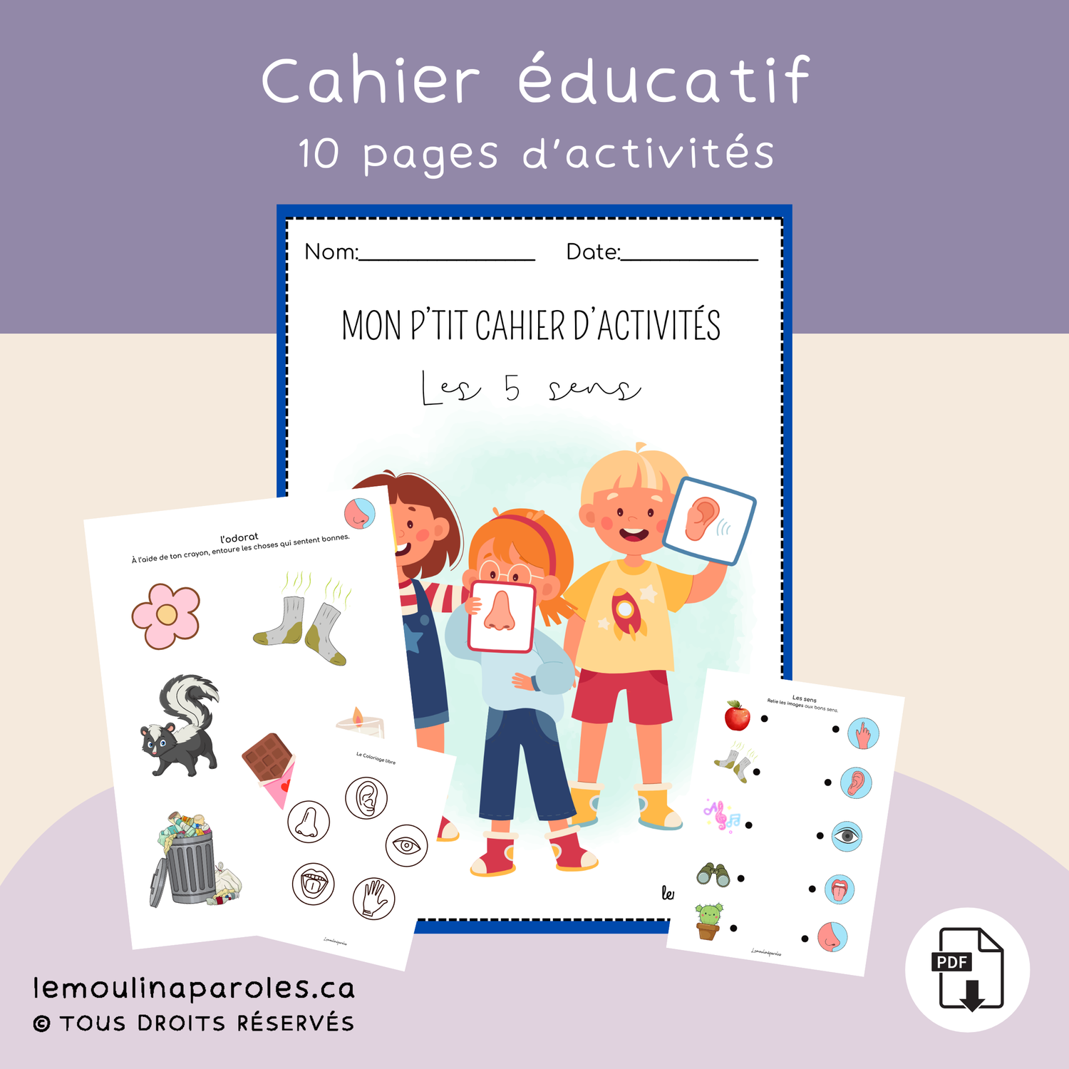 Cahier d'activités - les cinq sens