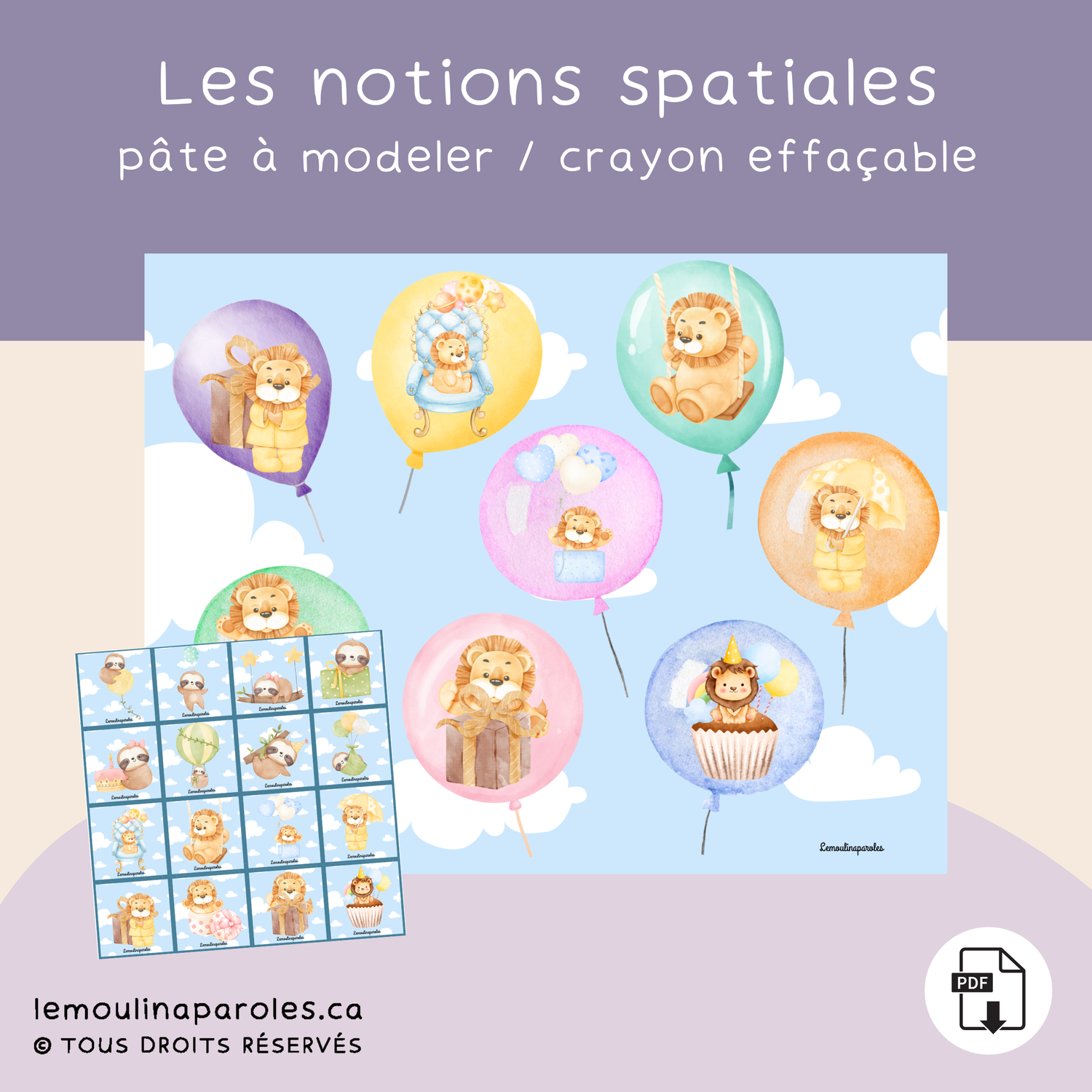 Mes ballons de fête