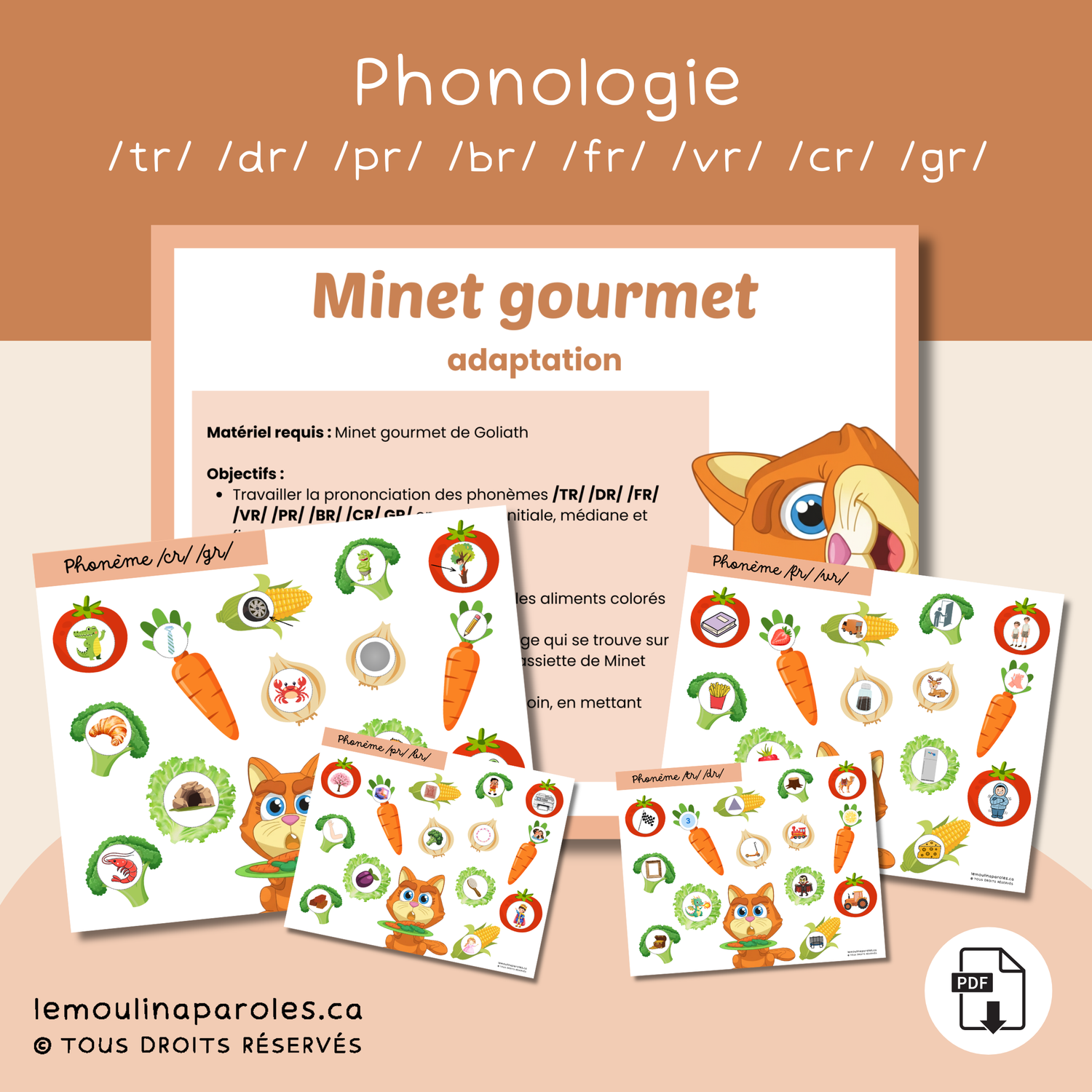 Jeu de stimulation du langage avec Minet gourmet pour pratiquer certains sons dans les mots. Activité ludique pour enfants de 3 à 8 ans en orthophonie.