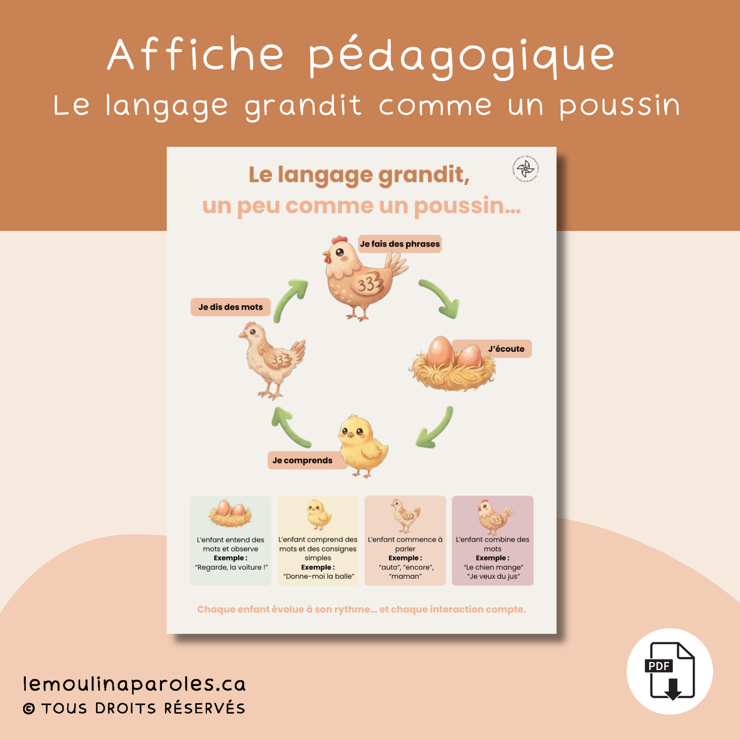 Affiche illustrée montrant les étapes du développement du langage chez l’enfant avec un poussin : écouter, comprendre, dire des mots et faire des phrases.