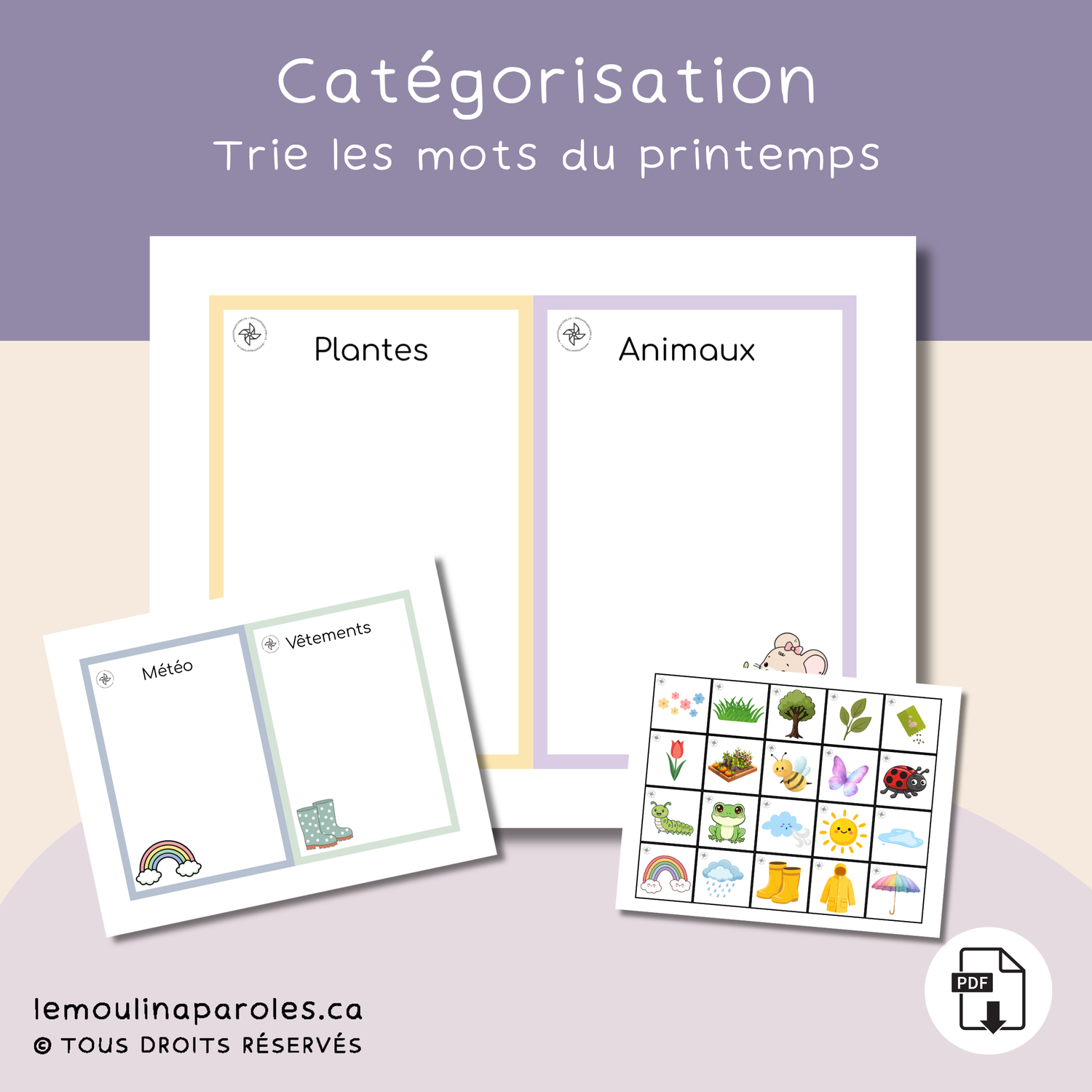 jeu catégorisation printemps enfant vocabulaire langage activité éducative PDF orthophonie 3-6 ans