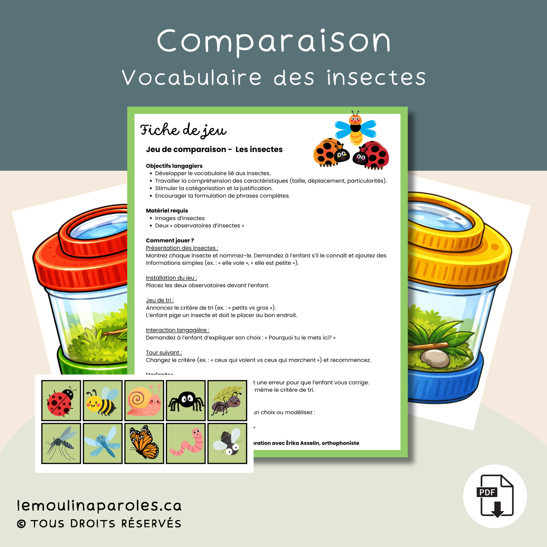 jeu comparaison insectes enfant catégorisation langage activité éducative PDF orthophonie 3-6 ans