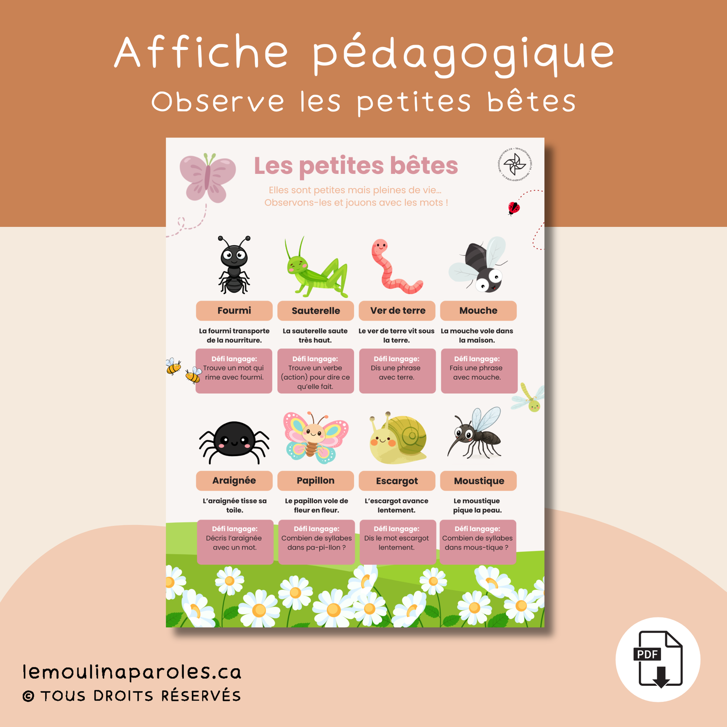 Affiche éducative enfants sur les insectes avec activités de stimulation du langage pour 3 à 5 ans