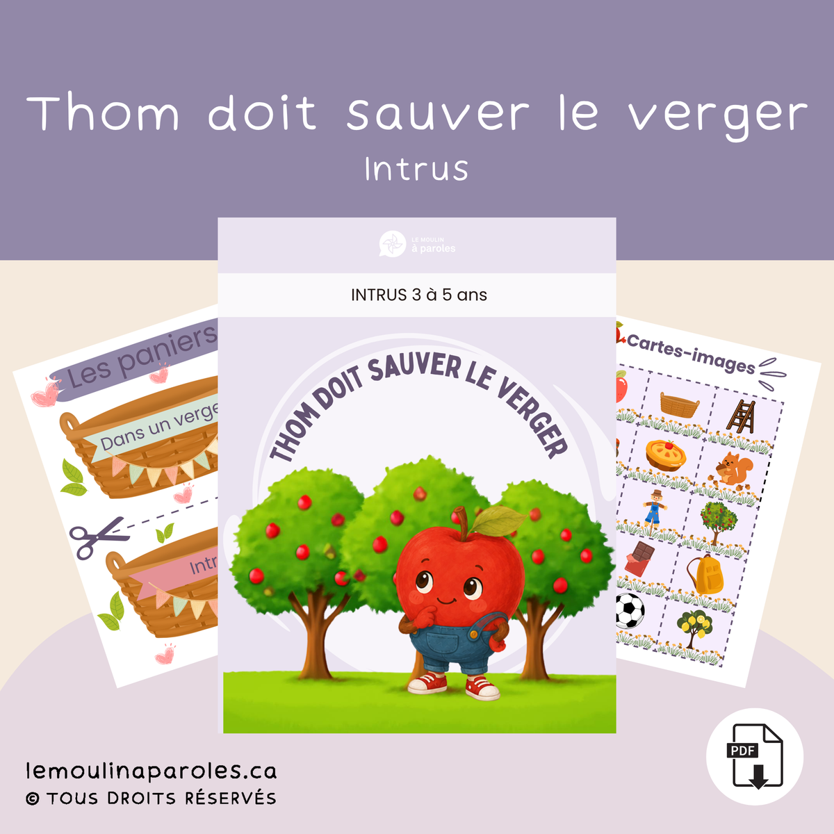 Thom construit un nouvel épouvantail - Compréhension