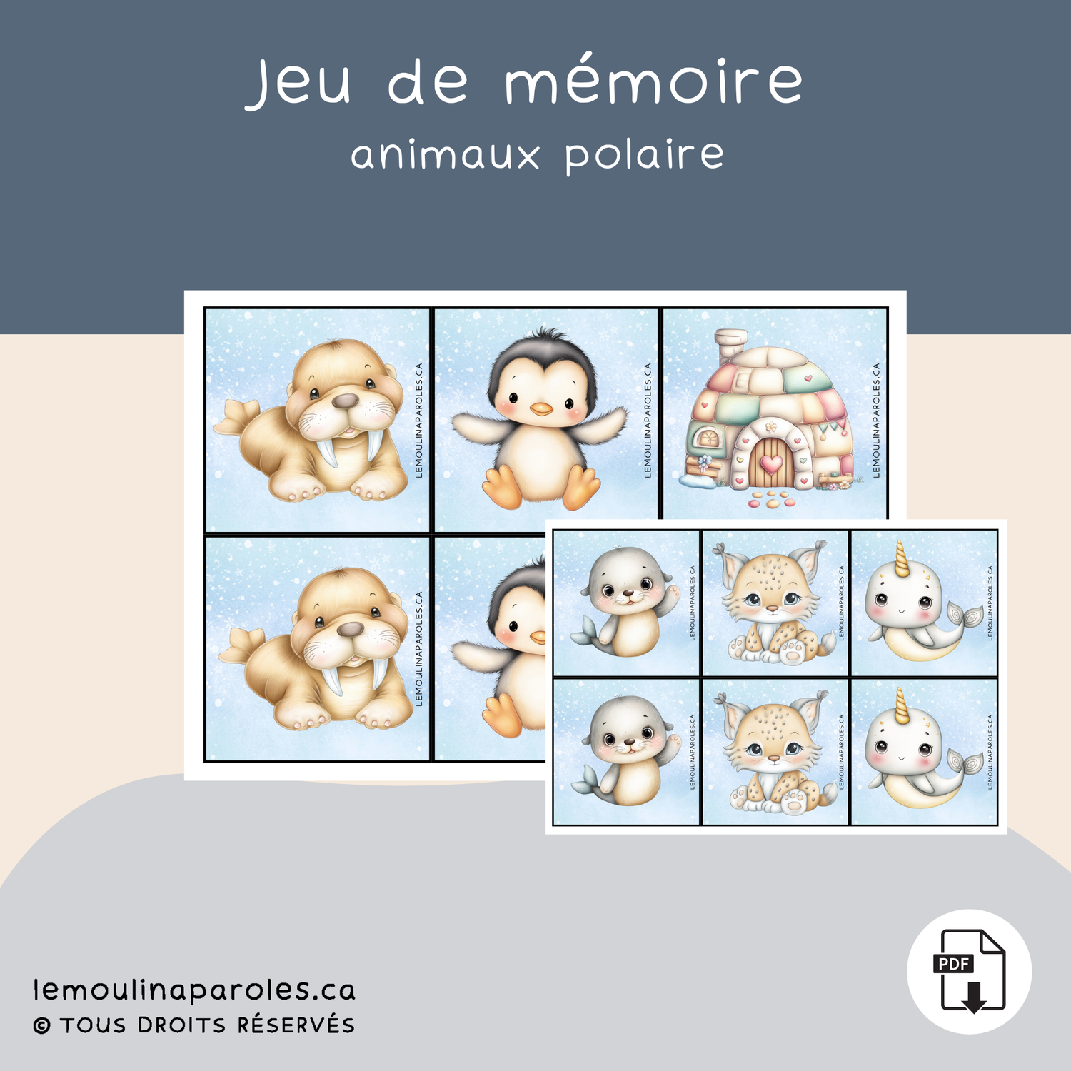 Jeux de mémoire - Les animaux polaires